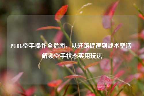 PUBG空手操作全指南,从赶路提速到战术整活 解锁空手状态实用玩法