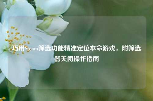 巧用Steam筛选功能精准定位本命游戏,附筛选器关闭操作指南