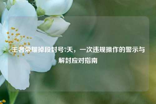 王者荣耀掉段封号7天，一次违规操作的警示与解封应对指南
