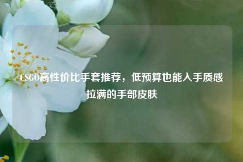 CSGO高性价比手套推荐,低预算也能入手质感拉满的手部皮肤