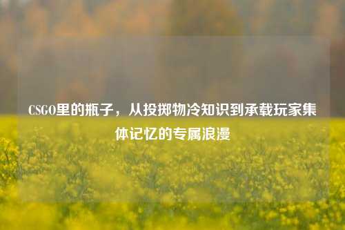 CSGO里的瓶子，从投掷物冷知识到承载玩家集体记忆的专属浪漫