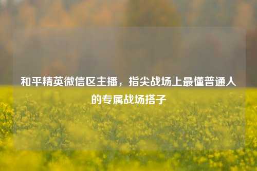 和平精英微信区主播,指尖战场上最懂普通人的专属战场搭子