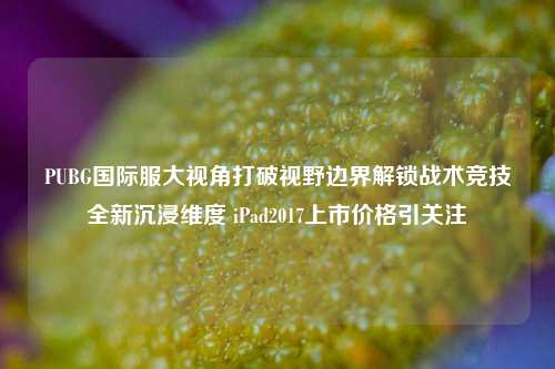 PUBG国际服大视角打破视野边界解锁战术竞技全新沉浸维度 iPad2017上市价格引关注