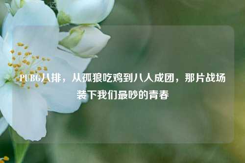 PUBG八排，从孤狼吃鸡到八人成团，那片战场装下我们最吵的青春