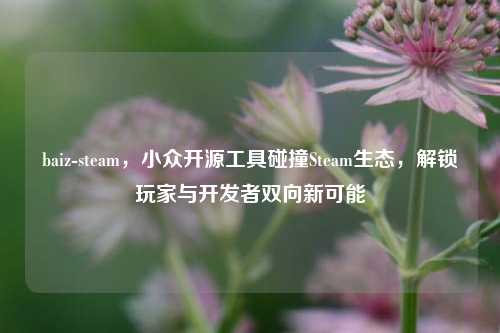 baiz-steam，小众开源工具碰撞Steam生态，解锁玩家与开发者双向新可能