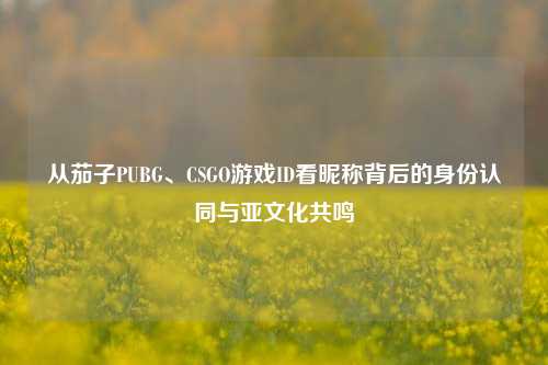 从茄子PUBG、CSGO游戏ID看昵称背后的身份认同与亚文化共鸣