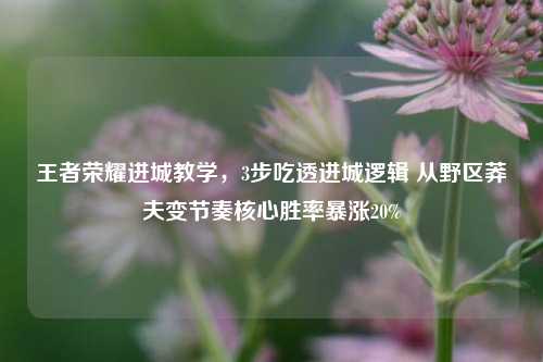 王者荣耀进城教学，3步吃透进城逻辑 从野区莽夫变节奏核心胜率暴涨20%