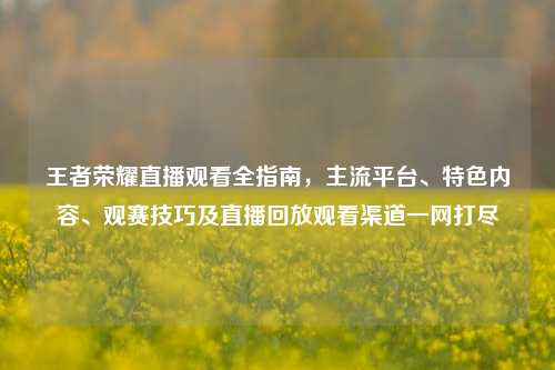王者荣耀直播观看全指南，主流平台、特色内容、观赛技巧及直播回放观看渠道一网打尽