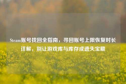 Steam账号找回全指南,寻回账号上限恢复时长详解,别让游戏库与库存成遗失宝藏