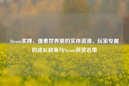 Steam奖牌,像素世界里的实体浪漫,玩家专属的成长勋章与Steam获奖名单