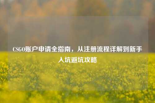 CSGO账户申请全指南,从注册流程详解到新手入坑避坑攻略