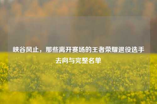 峡谷风止,那些离开赛场的王者荣耀退役选手去向与完整名单