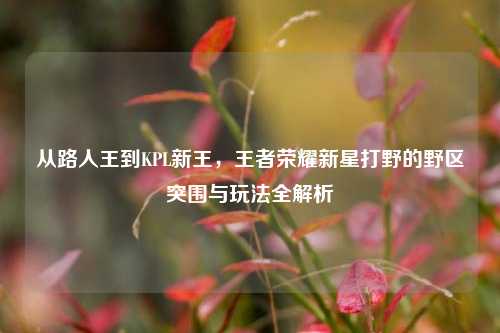 从路人王到KPL新王,王者荣耀新星打野的野区突围与玩法全解析