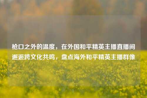 枪口之外的温度,在外国和平精英主播直播间邂逅跨文化共鸣,盘点海外和平精英主播群像