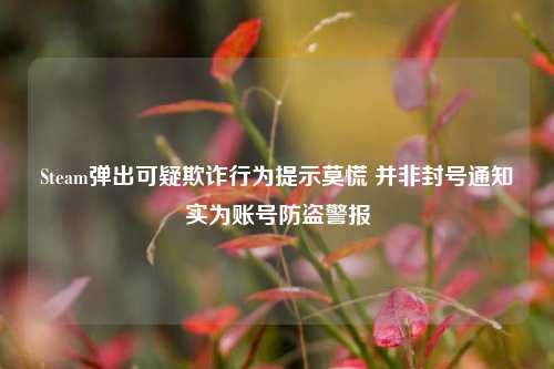Steam弹出可疑欺诈行为提示莫慌 并非封号通知实为账号防盗警报