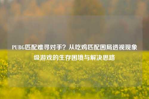 PUBG匹配难寻对手？从吃鸡匹配困局透视现象级游戏的生存困境与解决思路