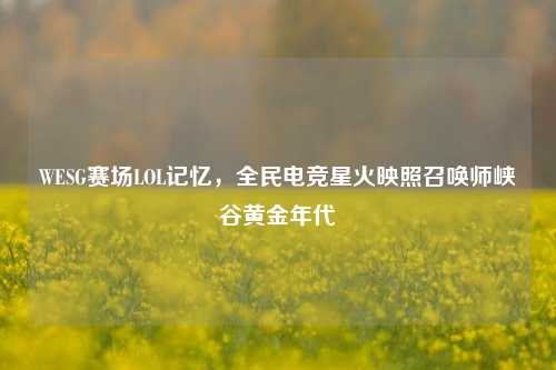 WESG赛场LOL记忆，全民电竞星火映照召唤师峡谷黄金年代