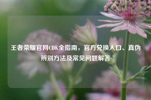 王者荣耀官网CDK全指南，官方兑换入口、真伪辨别方法及常见问题解答