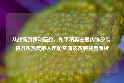 从战场到移动座舱，和平精英主题内饰改装，将游戏热爱融入座舱空间及改装费用解析