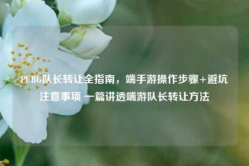 PUBG队长转让全指南,端手游操作步骤+避坑注意事项 一篇讲透端游队长转让方法