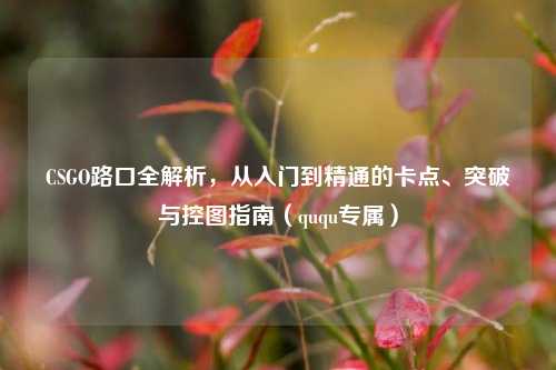 CSGO路口全解析,从入门到精通的卡点、突破与控图指南(ququ专属)