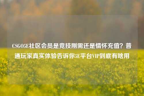 CSGO5E社区会员是竞技刚需还是情怀充值?普通玩家真实体验告诉你5E平台VIP到底有啥用