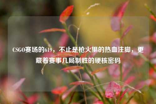 CSGO赛场的619，不止是枪火里的热血注脚，更藏着赛事几局制胜的硬核密码