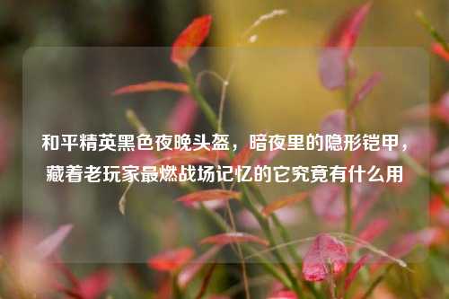 和平精英黑色夜晚头盔,暗夜里的隐形铠甲,藏着老玩家最燃战场记忆的它究竟有什么用