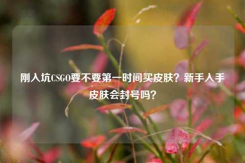 刚入坑CSGO要不要第一时间买皮肤?新手入手皮肤会封号吗?