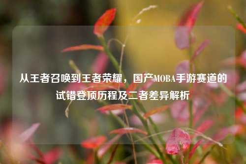 从王者召唤到王者荣耀,国产MOBA手游赛道的试错登顶历程及二者差异解析