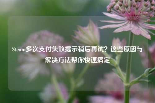 Steam多次支付失败提示稍后再试?这些原因与解决方法帮你快速搞定
