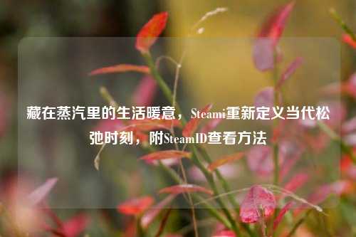 藏在蒸汽里的生活暖意，Steami重新定义当代松弛时刻，附SteamID查看方法