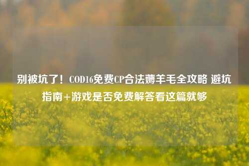 别被坑了！COD16免费CP合法薅羊毛全攻略 避坑指南+游戏是否免费解答看这篇就够