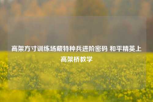 高架方寸训练场藏特种兵进阶密码 和平精英上高架桥教学