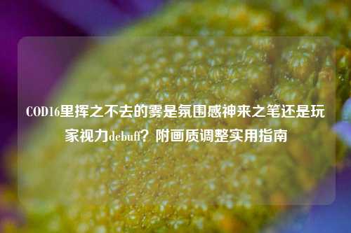 COD16里挥之不去的雾是氛围感神来之笔还是玩家视力debuff？附画质调整实用指南