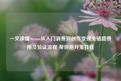 一文读懂Steam从入门消费到创作变现全链路费用及验证流程 帮你避开冤枉钱
