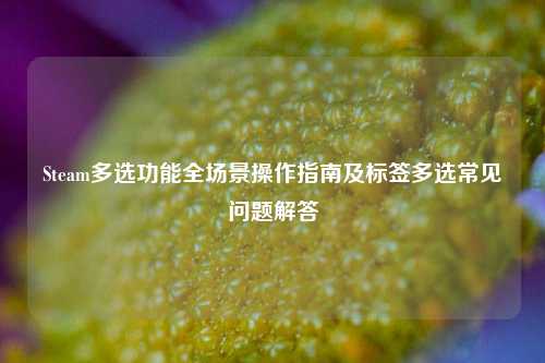 Steam多选功能全场景操作指南及标签多选常见问题解答