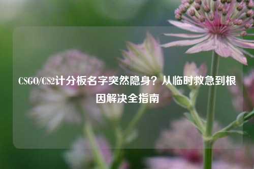CSGO/CS2计分板名字突然隐身?从临时救急到根因解决全指南