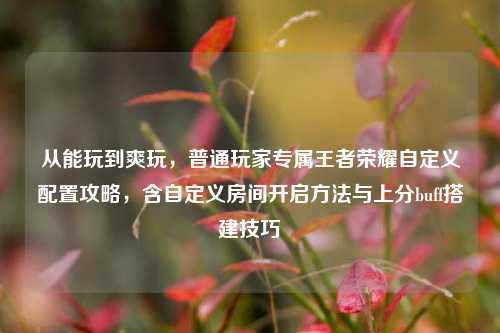 从能玩到爽玩，普通玩家专属王者荣耀自定义配置攻略，含自定义房间开启方法与上分buff搭建技巧