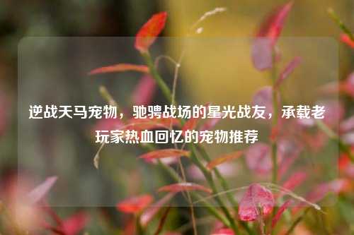 逆战天马宠物，驰骋战场的星光战友，承载老玩家热血回忆的宠物推荐