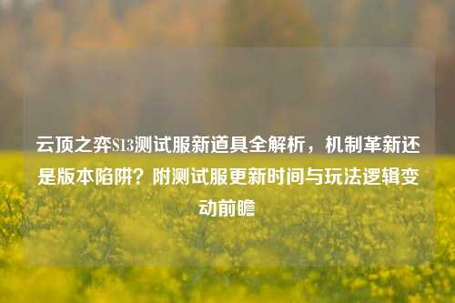 云顶之弈S13测试服新道具全解析，机制革新还是版本陷阱？附测试服更新时间与玩法逻辑变动前瞻