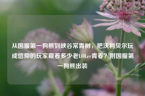从国服第一狗熊到峡谷常青树，把沃利贝尔玩成信仰的玩家藏着多少老LOLer青春？附国服第一狗熊出装