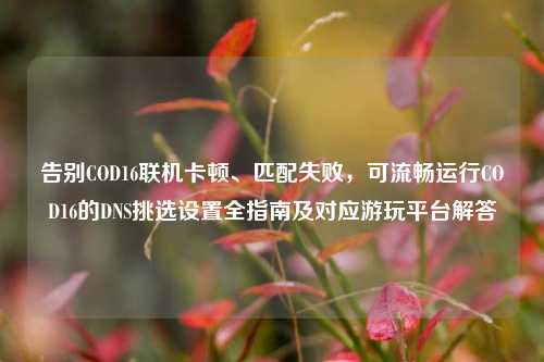 告别COD16联机卡顿、匹配失败,可流畅运行COD16的DNS挑选设置全指南及对应游玩平台解答