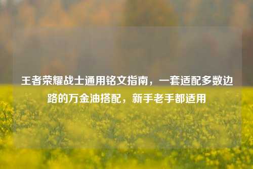 王者荣耀战士通用铭文指南，一套适配多数边路的万金油搭配，新手老手都适用