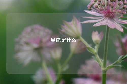 具体是什么