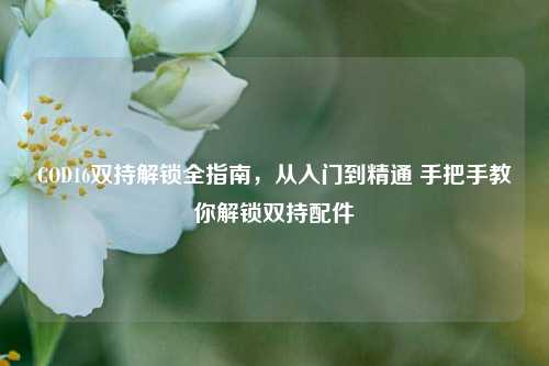 COD16双持解锁全指南，从入门到精通 手把手教你解锁双持配件