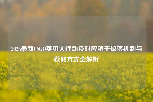 2025最新CSGO英勇大行动及对应箱子掉落机制与获取方式全解析