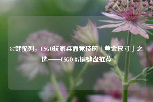 87键配列，CSGO玩家桌面竞技的「黄金尺寸」之选——CSGO 87键键盘推荐