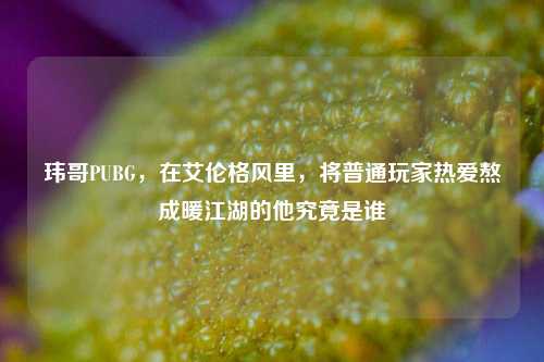 玮哥PUBG，在艾伦格风里，将普通玩家热爱熬成暖江湖的他究竟是谁