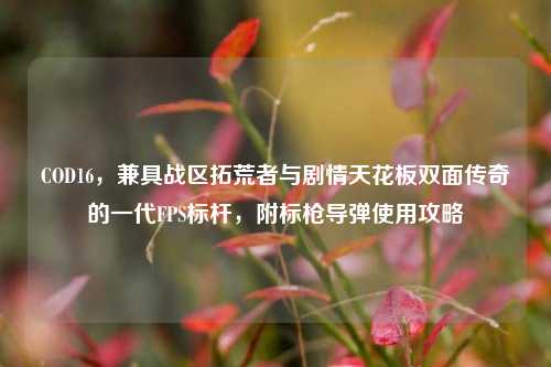COD16,兼具战区拓荒者与剧情天花板双面传奇的一代FPS标杆,附标枪导弹使用攻略